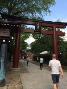 つつじ祭り開催中だった根津神社。